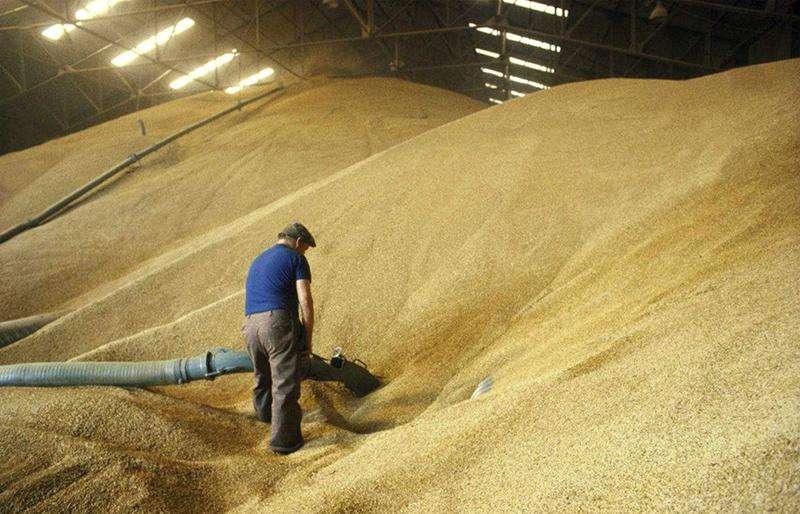 散裝糧食倉 散裝糧食倉